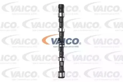vaico-v400023