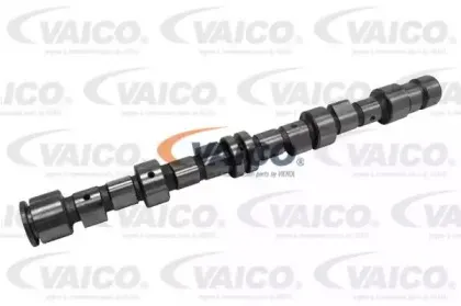 vaico-v400028