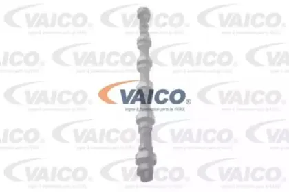 vaico-v400031
