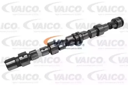 vaico-v400033