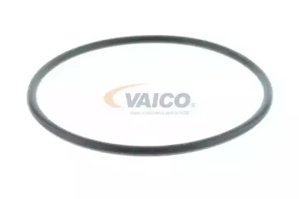 vaico-v400087