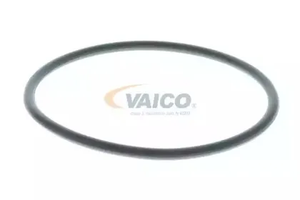 vaico-v400099
