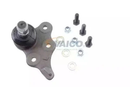 vaico-v400116