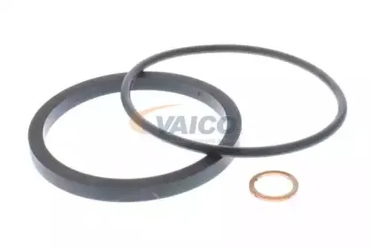 vaico-v400166