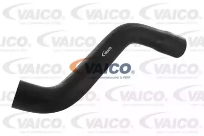 vaico-v401337