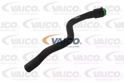 V40-1352 VAICO Шланг радиатора