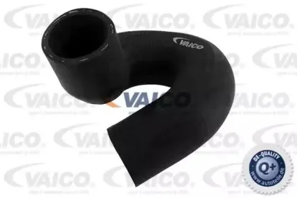 vaico-v401764