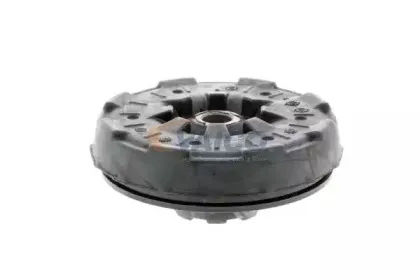vaico-v401867