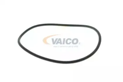 vaico-v4050022