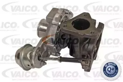 vaico-v408135