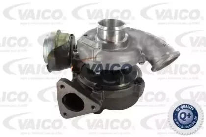 vaico-v408136