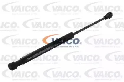 vaico-v420241