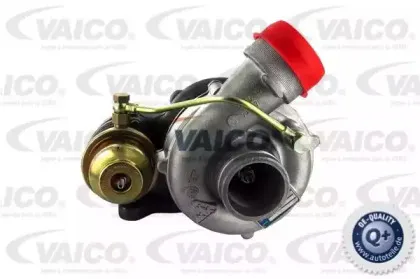 vaico-v424142