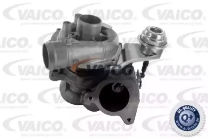 vaico-v424146