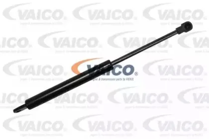 vaico-v450036
