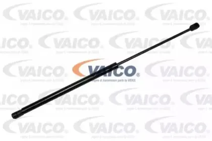 vaico-v450038