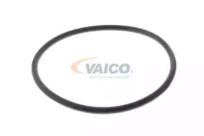 vaico-v460087