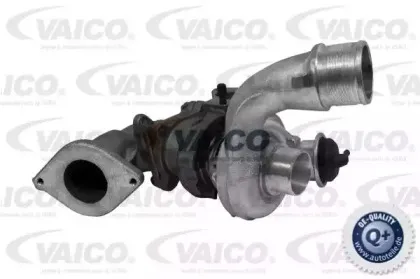 vaico-v460189