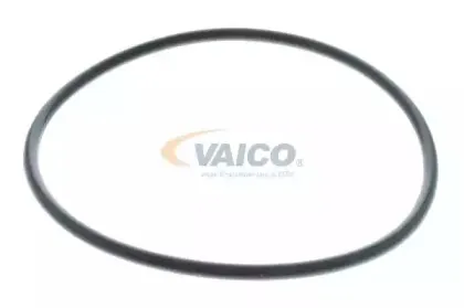 vaico-v460527