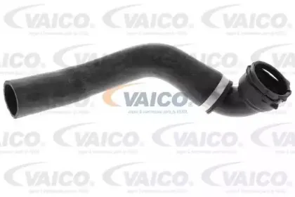 V48-0143 VAICO Шланг радиатора