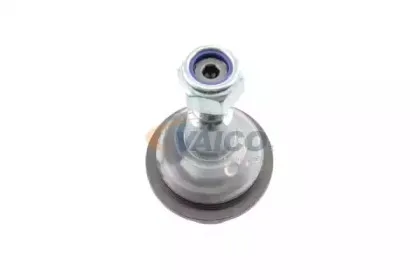 vaico-v489507