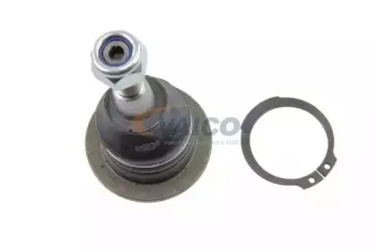 vaico-v489529