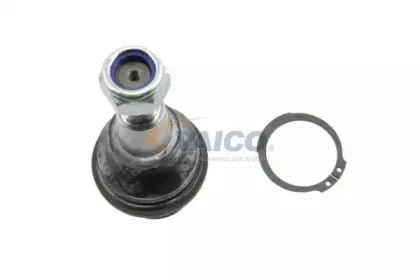 vaico-v489530