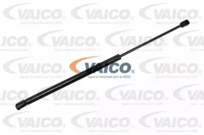 vaico-v490018