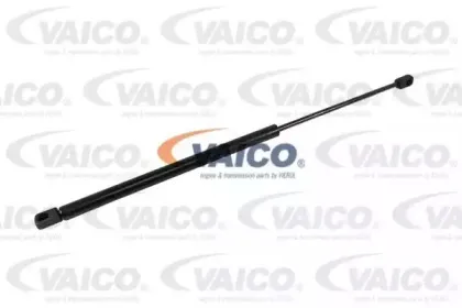 vaico-v490021