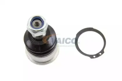 vaico-v499501