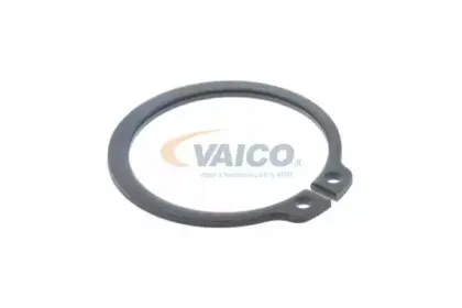 vaico-v529533