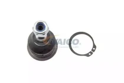 vaico-v529555