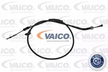 vaico-v5330005