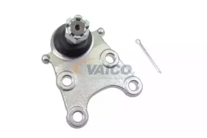 vaico-v560002