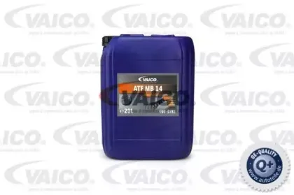 vaico-v600261