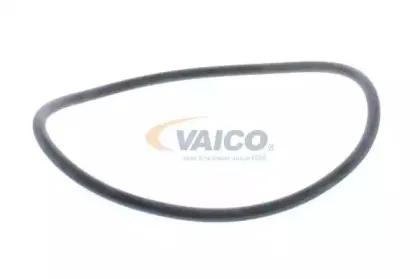 vaico-v700017