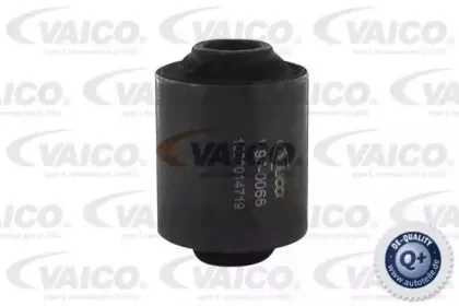 vaico-v950066