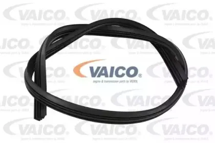 vaico-v990002
