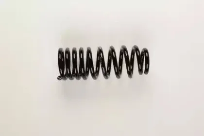 bilstein-36219322