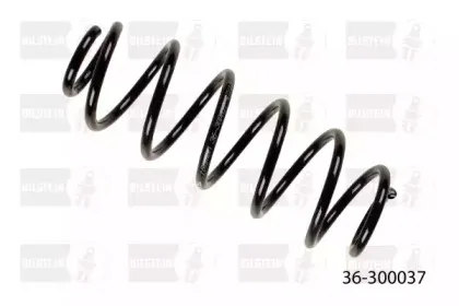 bilstein-36300037