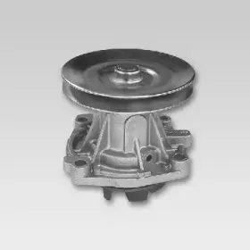 hepu-p012