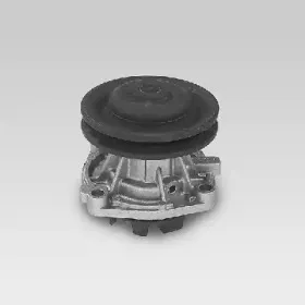 hepu-p025