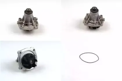 P031 HEPU