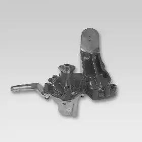 hepu-p036