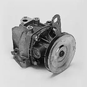 hepu-p074