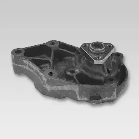 hepu-p076