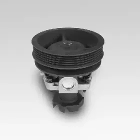 P100 HEPU Водяной насос