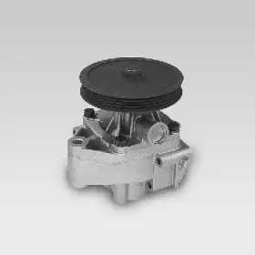 hepu-p1021