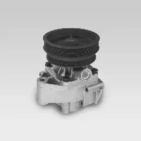 P1033 HEPU