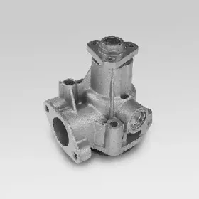 hepu-p116